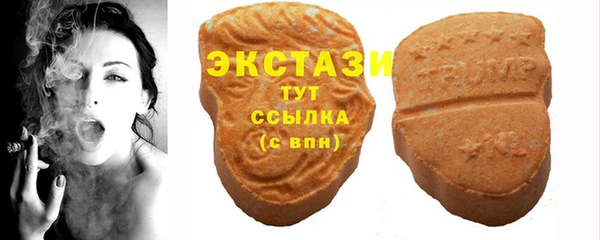 стаф Дмитриев