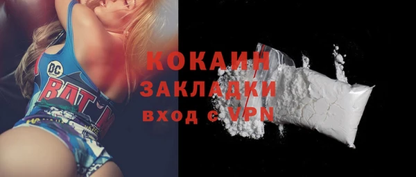 стаф Дмитриев