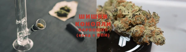 spice Дмитров