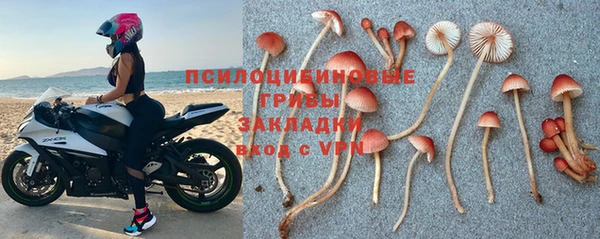 spice Дмитров